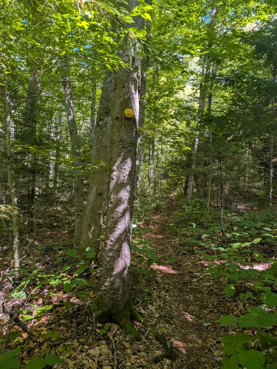 trail marker