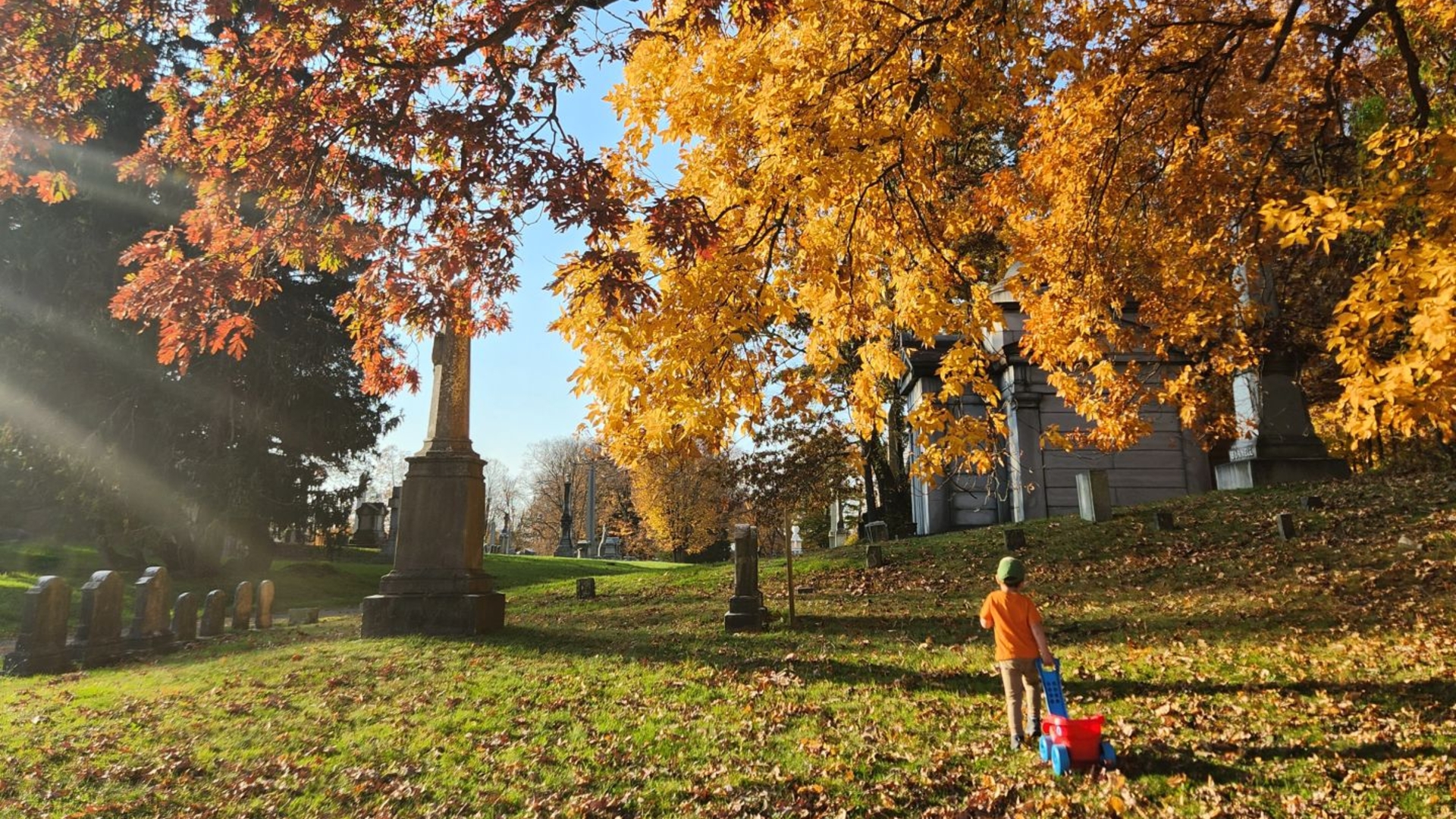 Quinn in oakwood with his wagon
