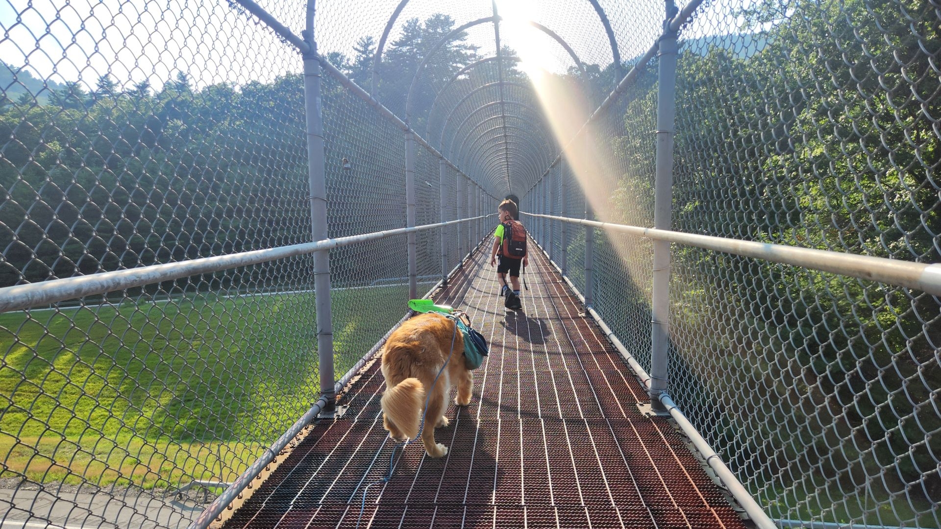 on the footbridge over 87