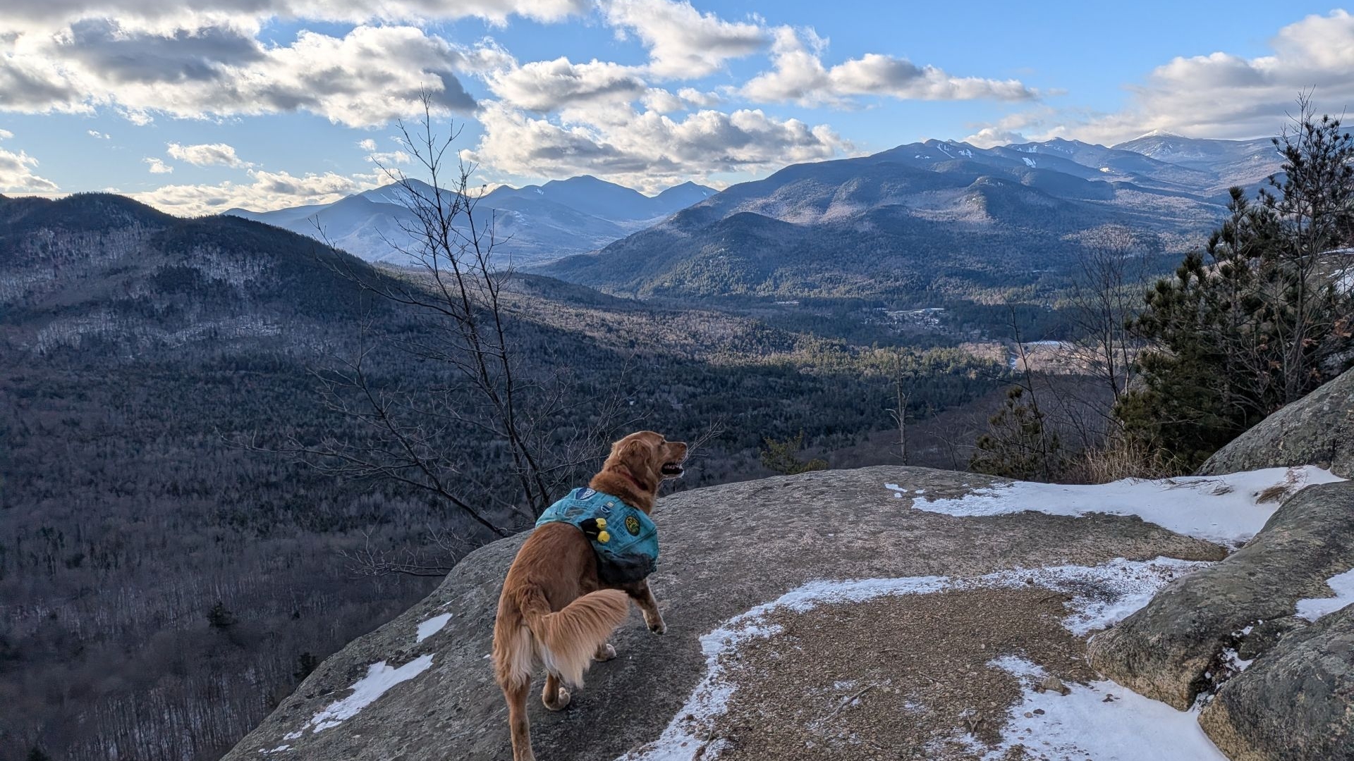 Sunny on Baxter