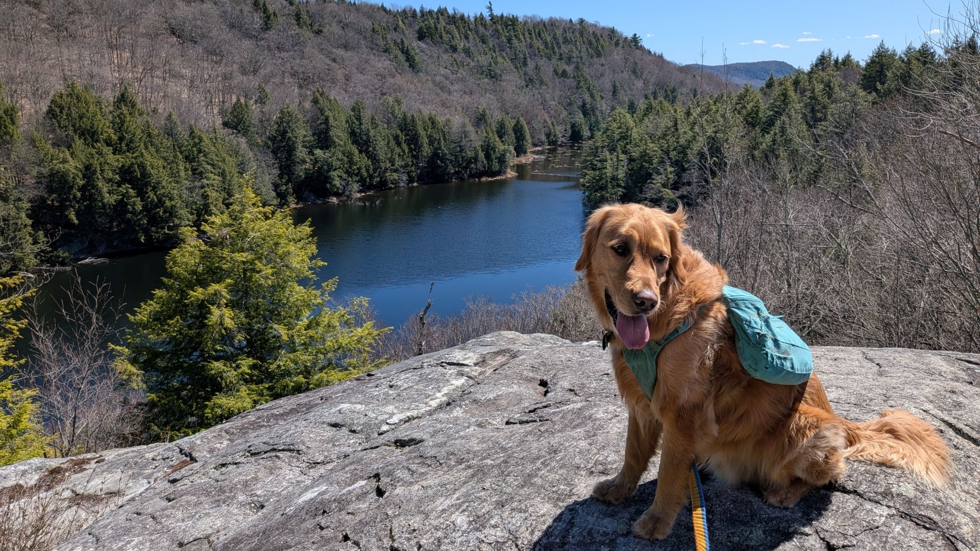 Sunny at the inman pond overlook