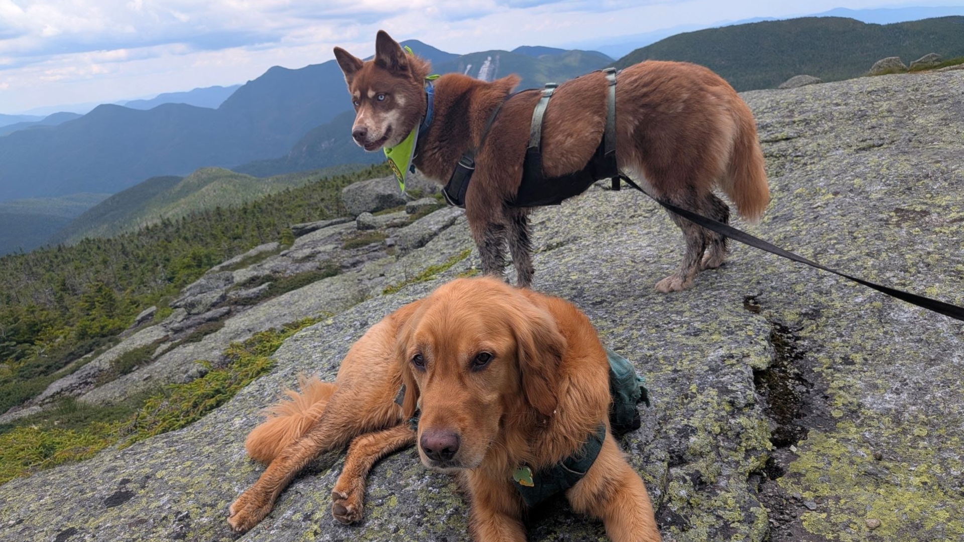 Stella and sunny