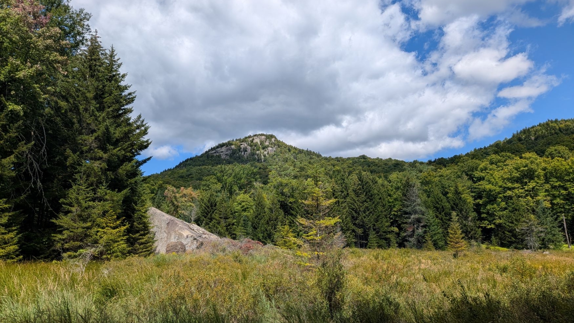 The view of Peaked Mountain summit from a  nearby marsh.