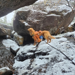 Sunny at the famous Colden boulder tunnel.