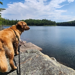 Sunny Days at lost pond