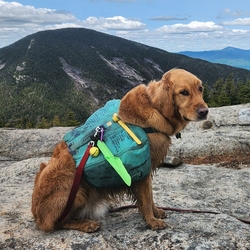 Sunny on RPR with giant in the background