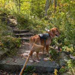 Sunny climbing Mount Van hovenberg