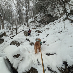giant washbowl climbing up