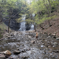 Sunny having a blast at Plotter Kill preserve