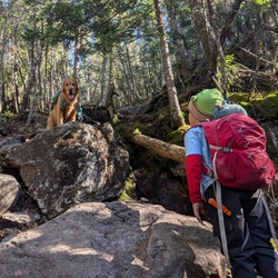 Quinn looking up at sunny who is standing on a boulder during the phelps climb.