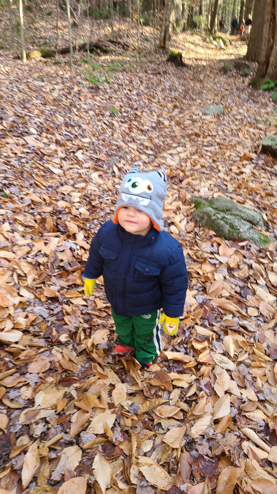 Quinn in the leaves