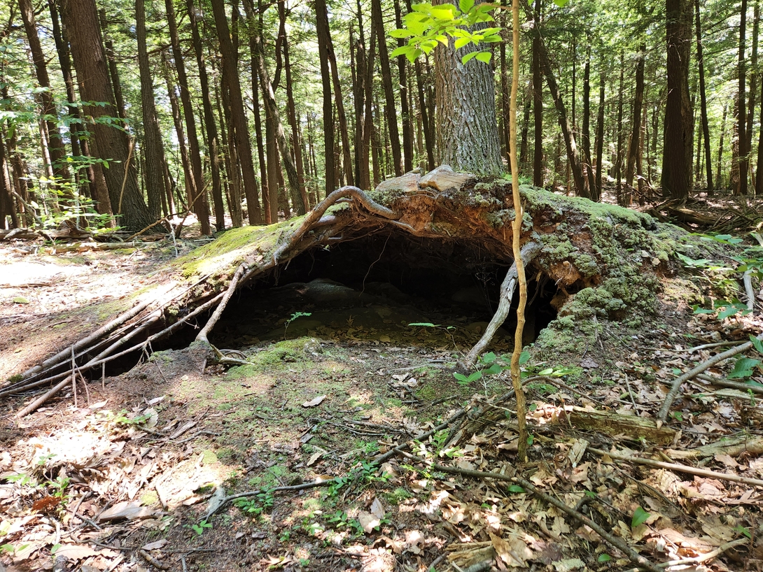 The park is littered with huge, moss-covered boulders and rocky structures that are fun to look at.