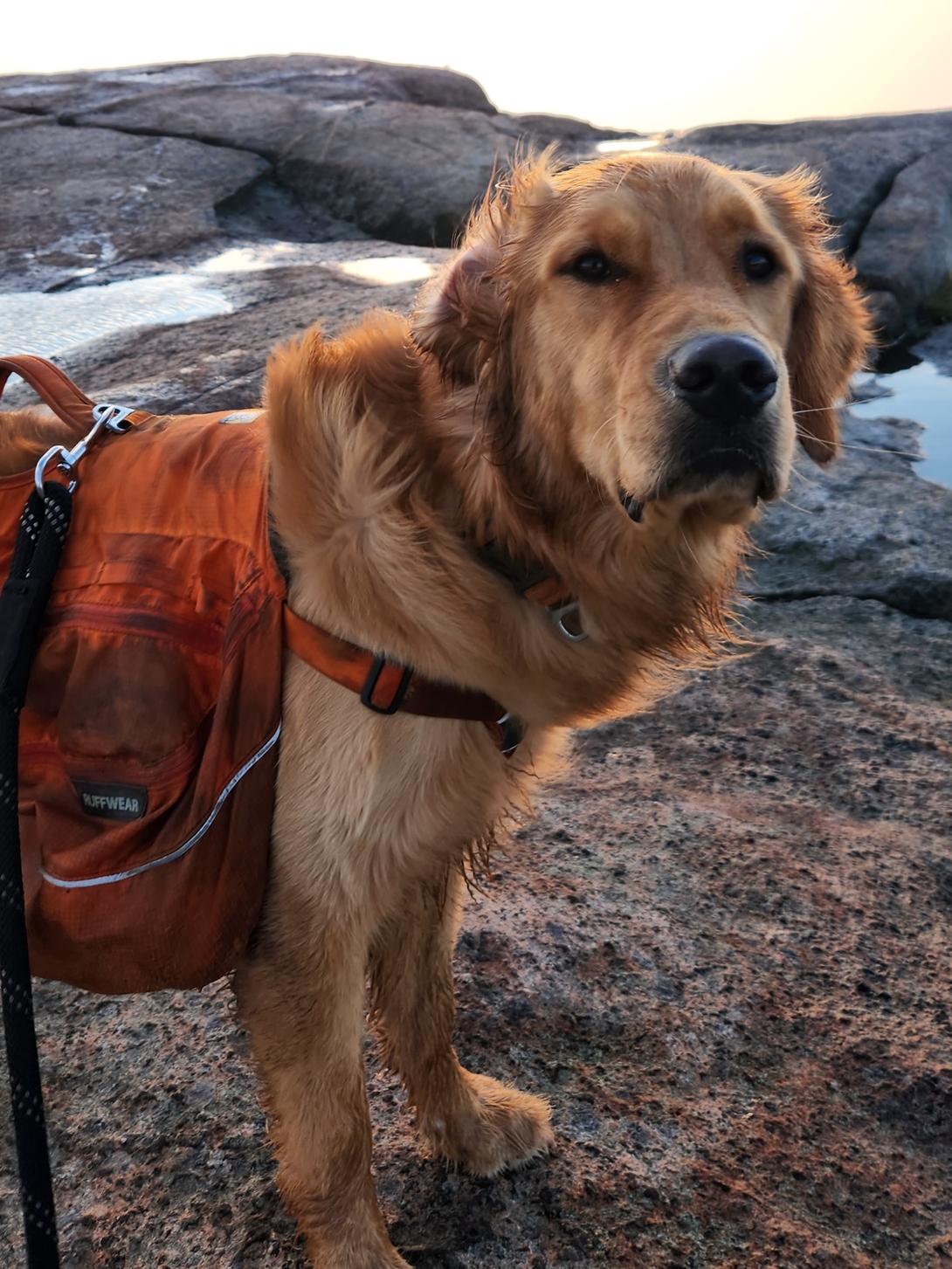 Sunny stands in his orange hiking pack on the windy summit of Cascade Mountain after completing his third High Peak.