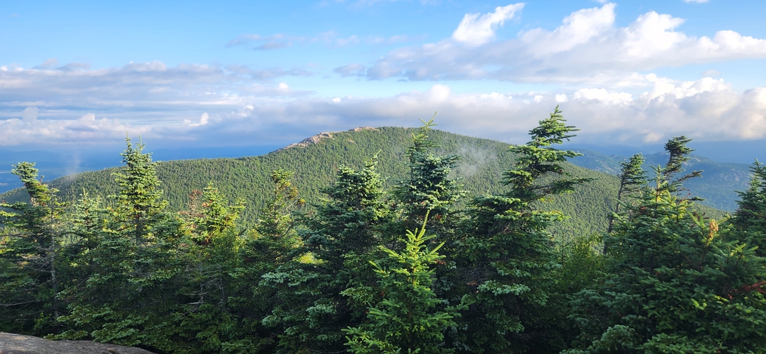 Cascade Mountain rises beyond evergreen trees as viewed from Porter Mountain’s summit.