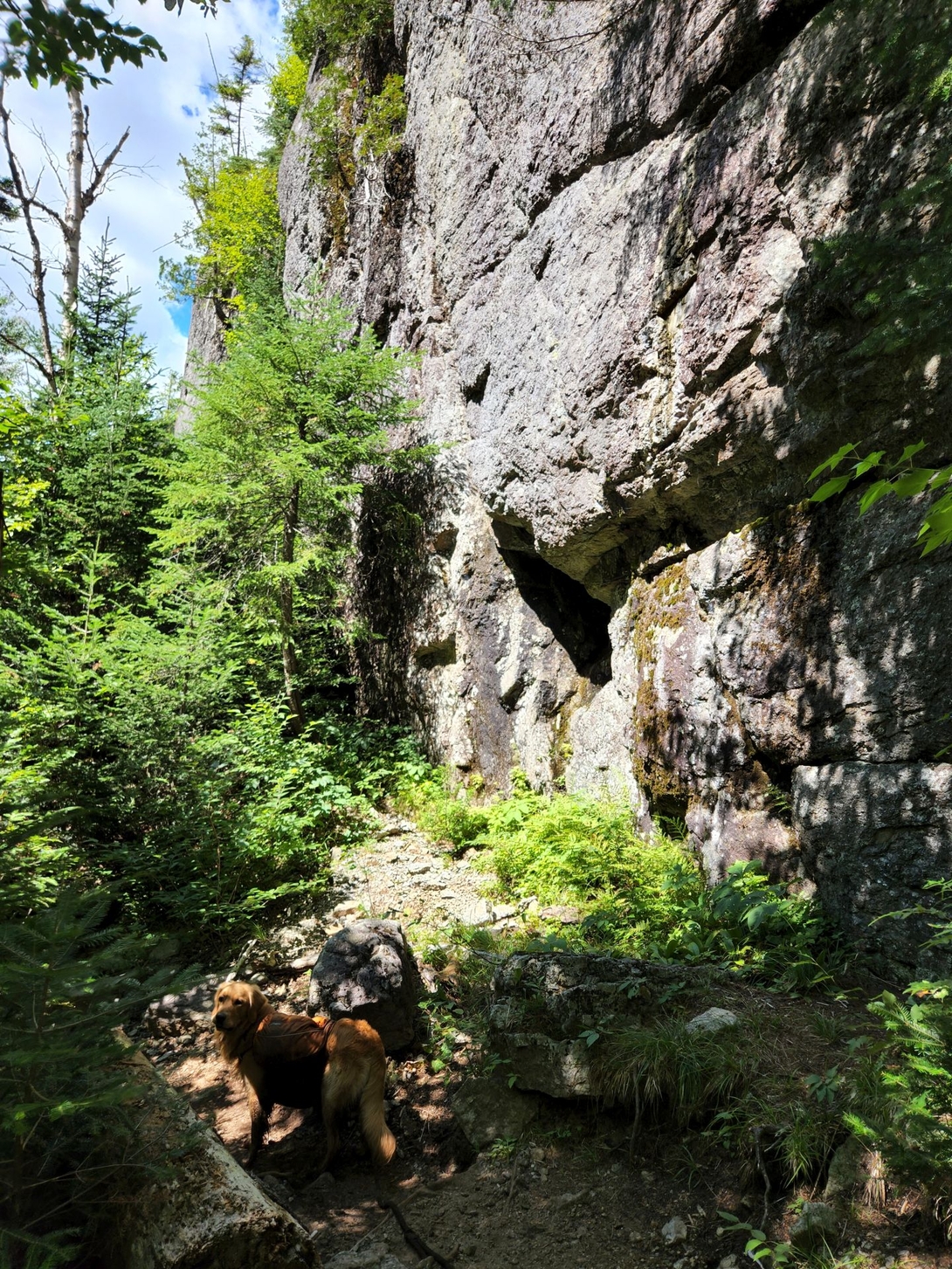 Avalanche Pass cliffs.