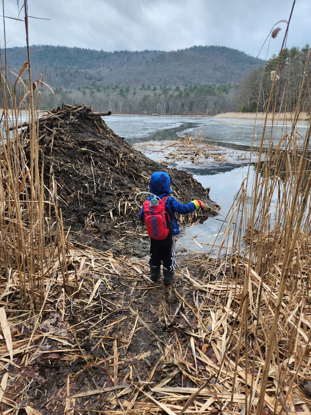 kid and beaver lodge