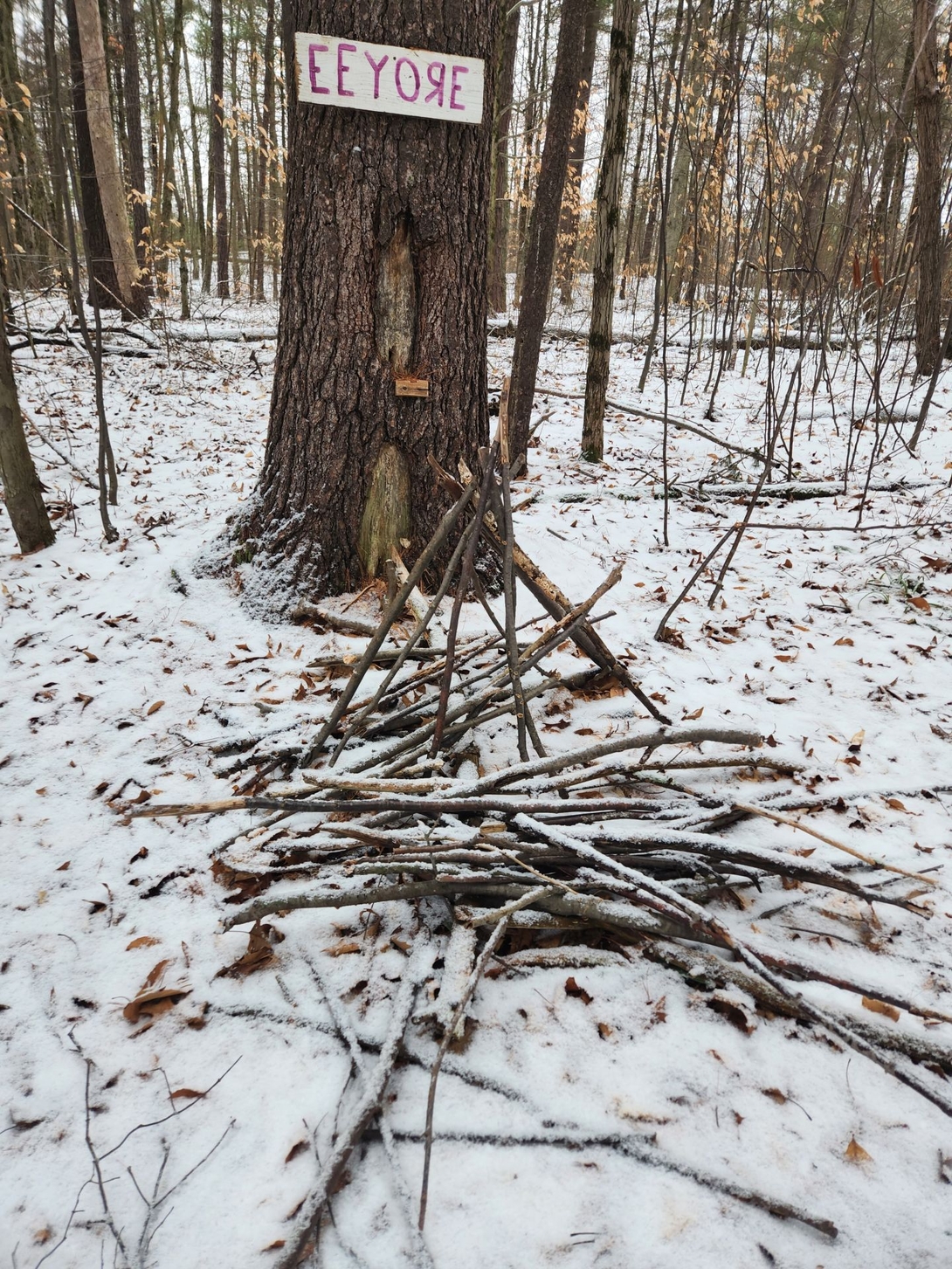 eeyore's house