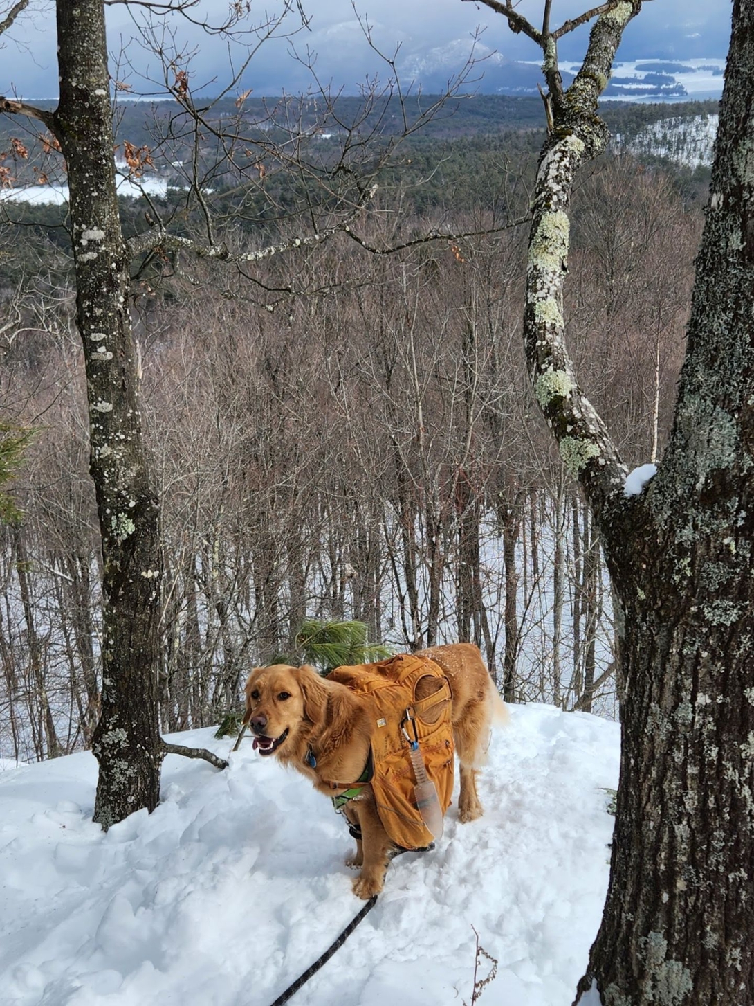 sunny heading down  cat mt.