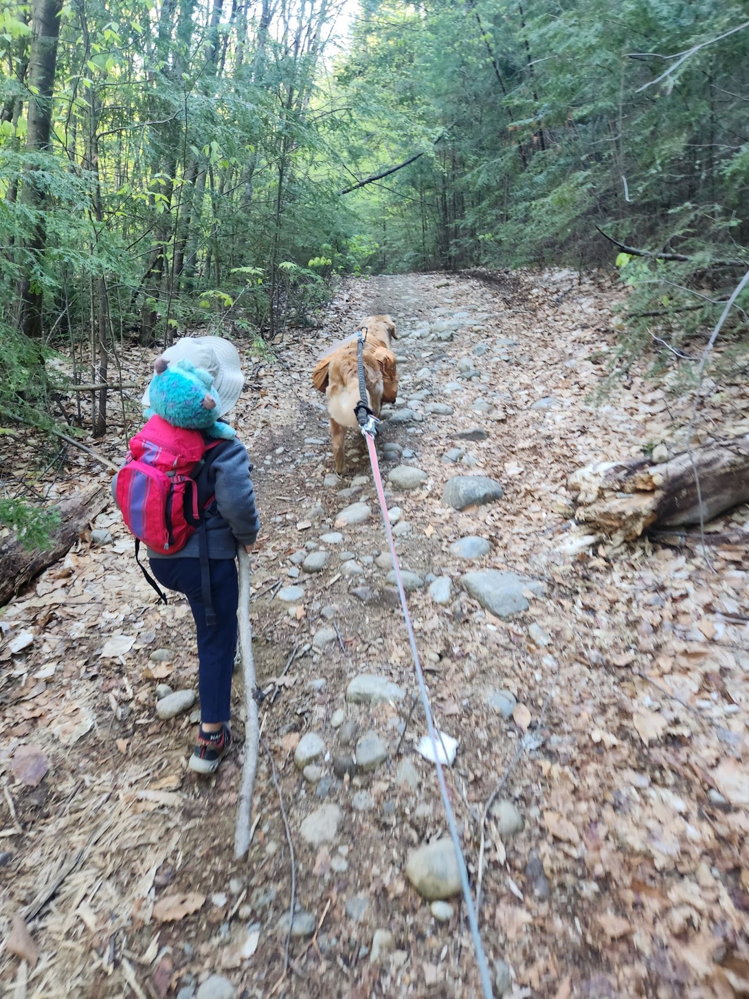 sunny, kid, and sully