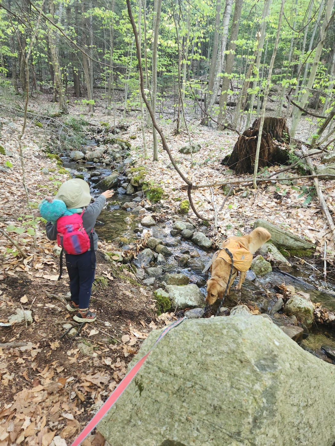 sunny and quinn at the brook