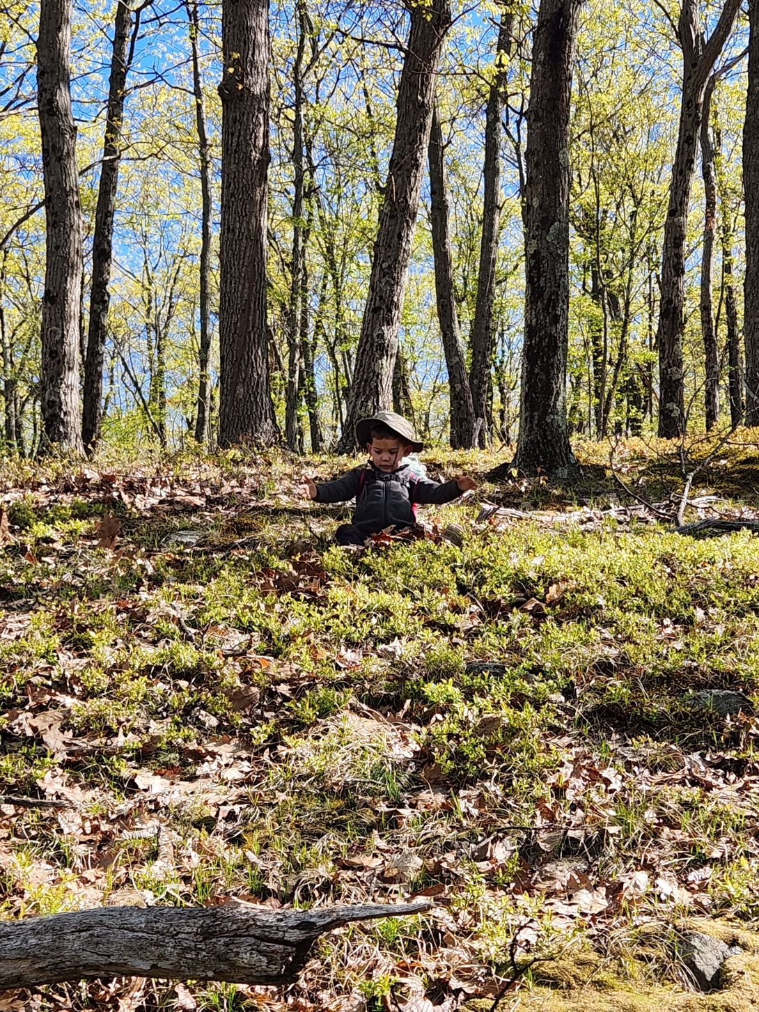 quinn sliding down the hill