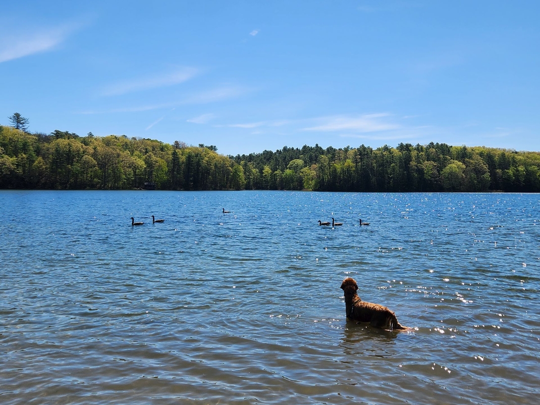 sunny in moreau lake