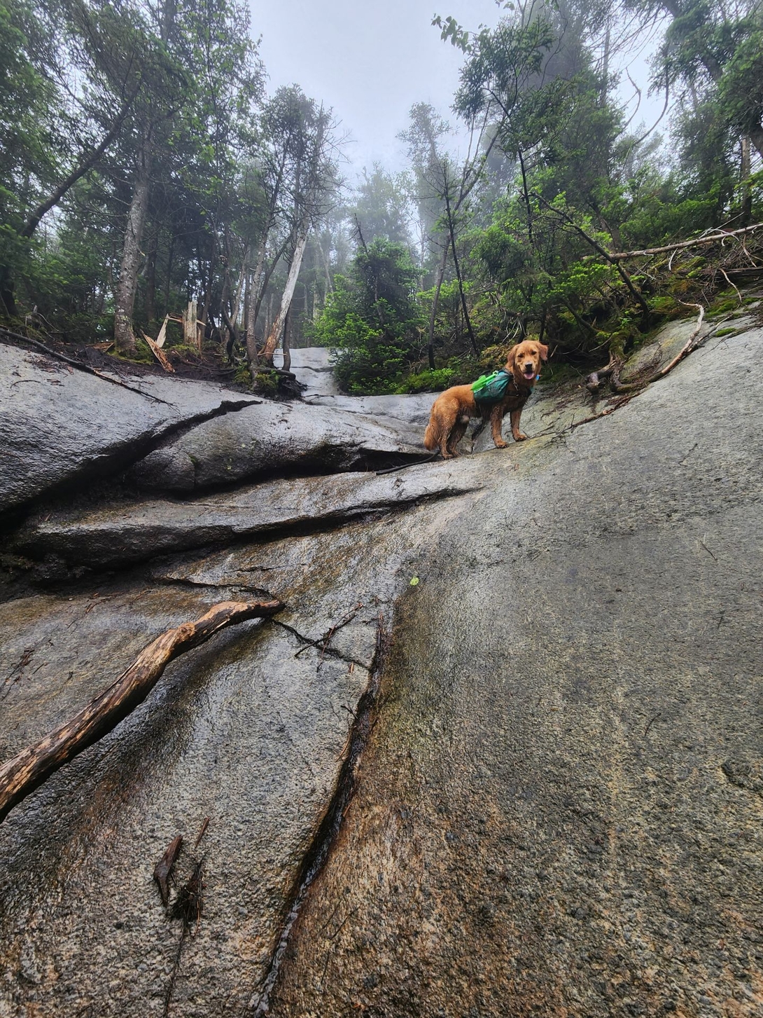 Sunny stands above the broad, wet rock slab after climbing its right side.