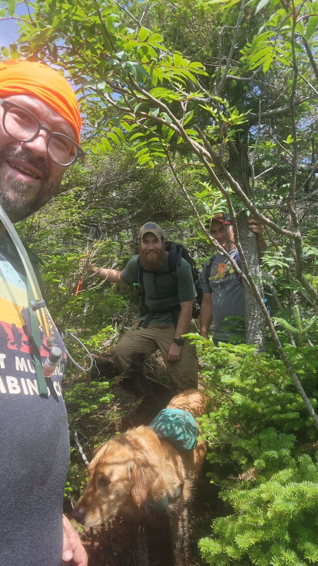 Adam and Sunny pose with two hikers among the dense trees at Times Square.