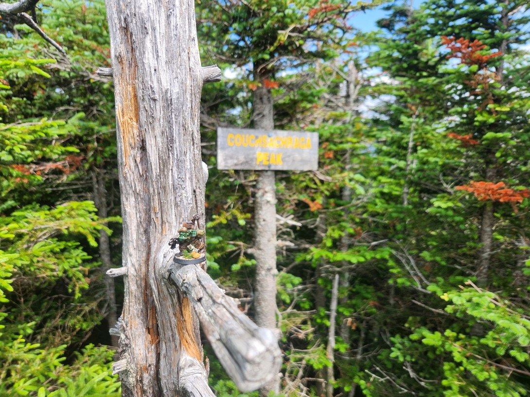 The Adirondack Kommando miniature stands on a dead branch in front of the Couchsachraga Peak sign.