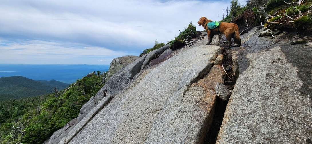 Sunny stands high on Panther Peak’s open rock face above a sweeping Adirondack view.