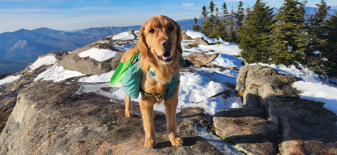 sunny on the mountain