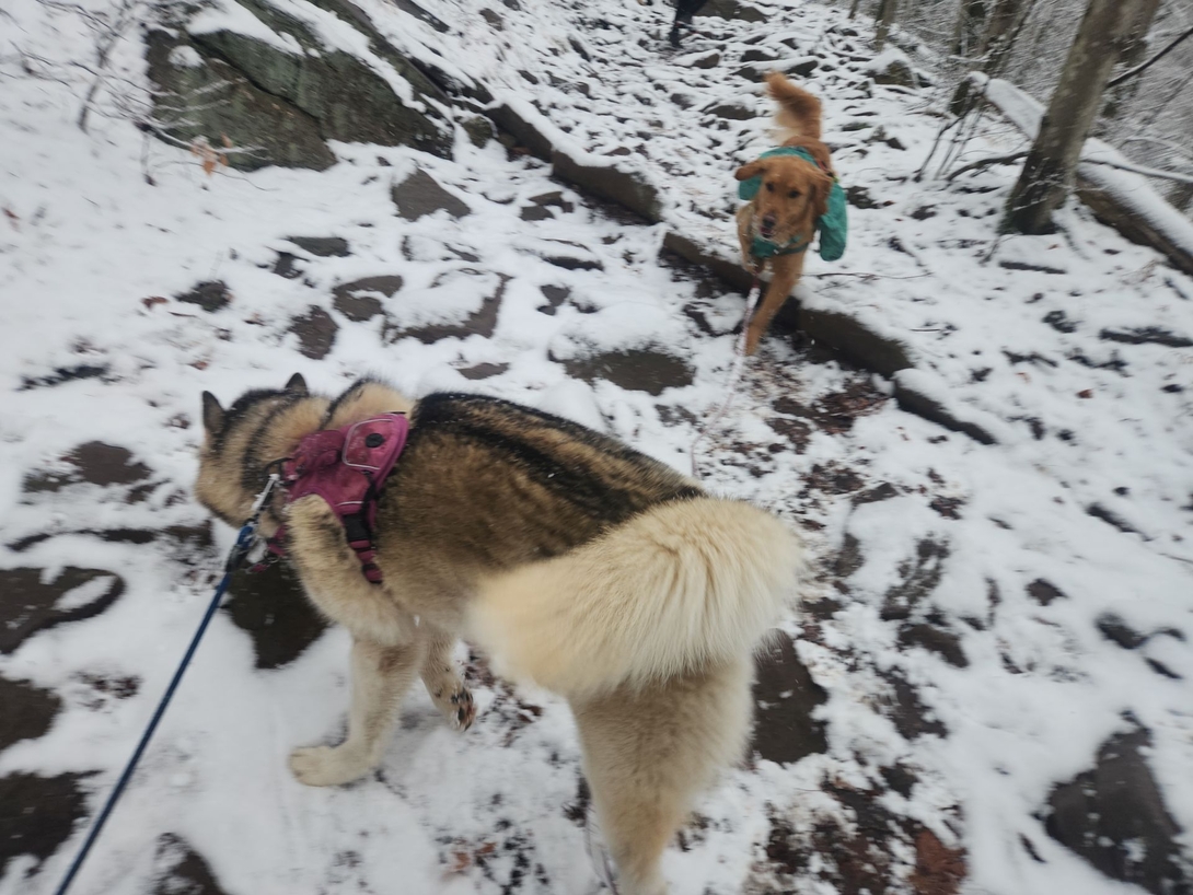 sunny and korra having a nice time