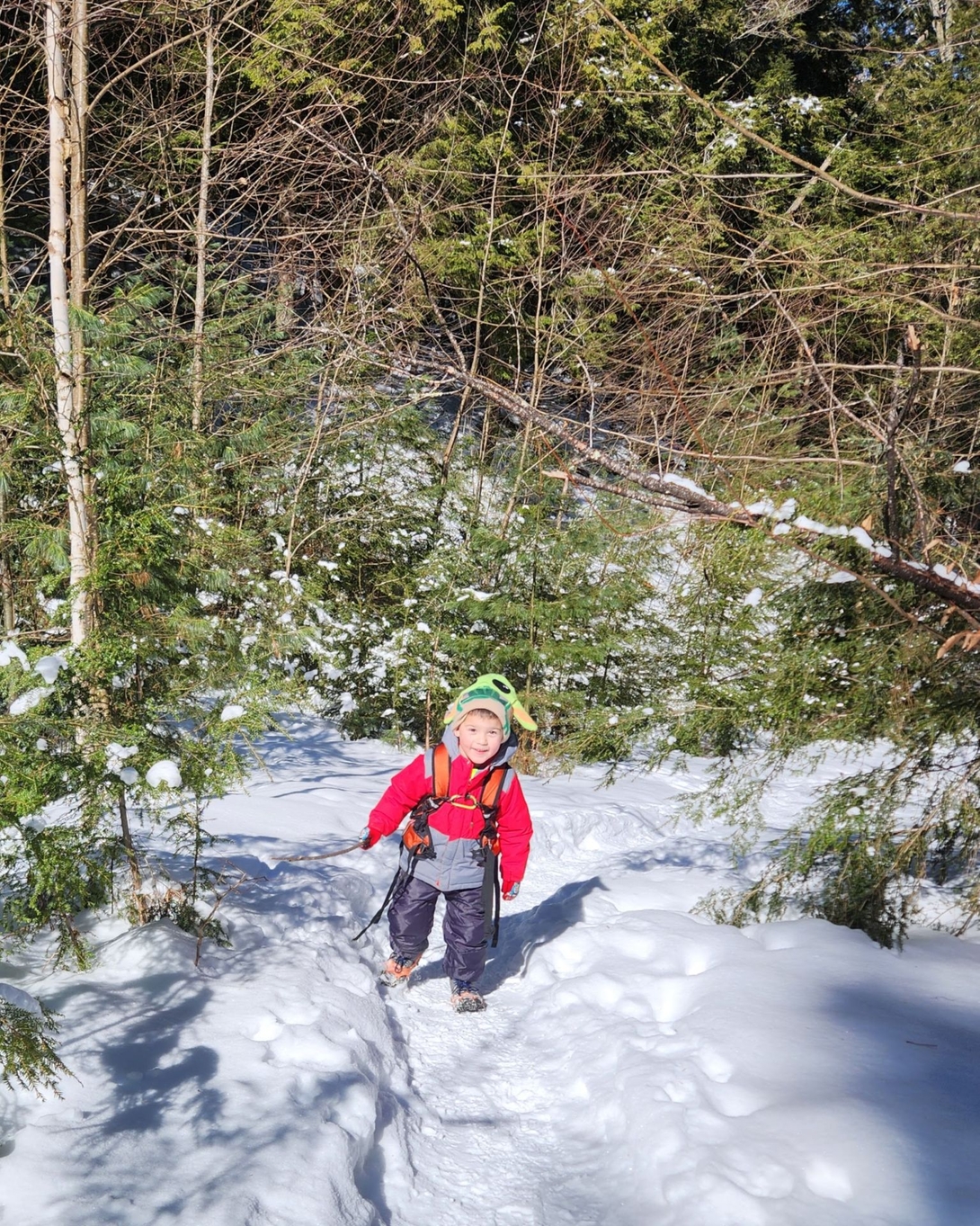 quinn the final climb