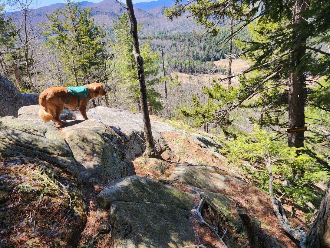 sunny gazing from another view