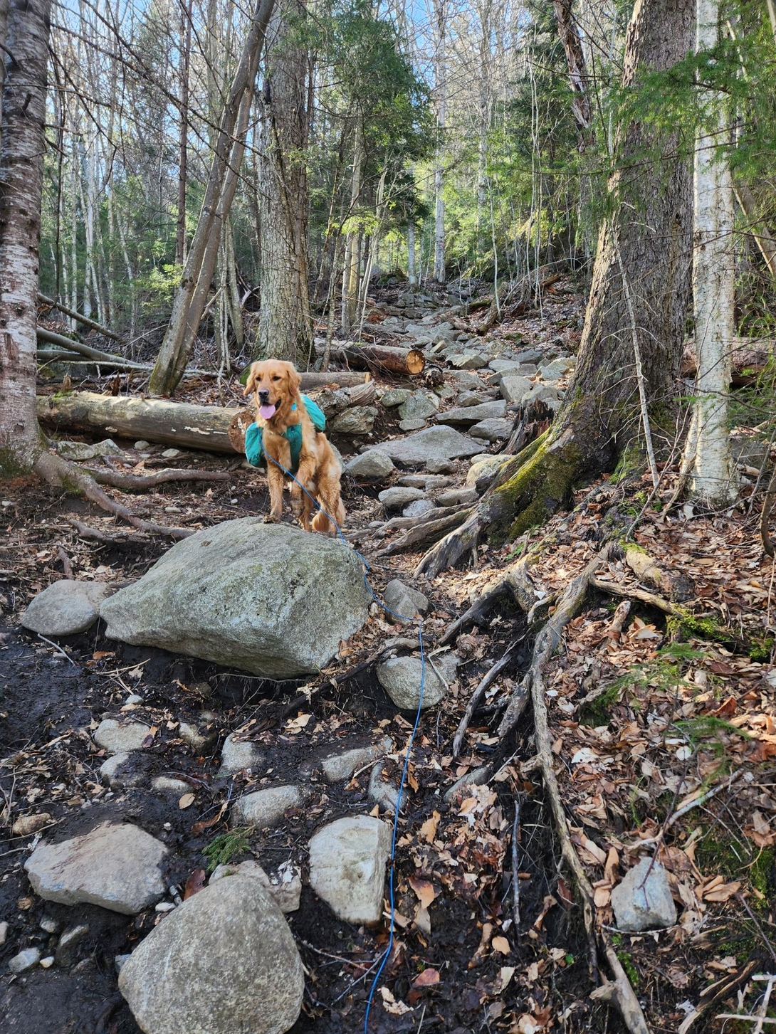 sunny at the start of the climb