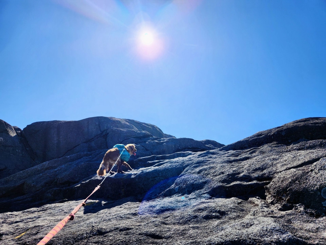 sunny breaking summit