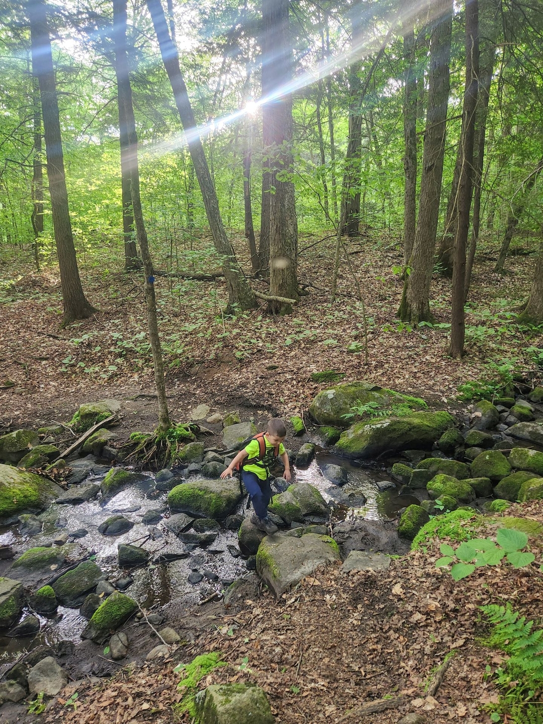 slopping through a stream