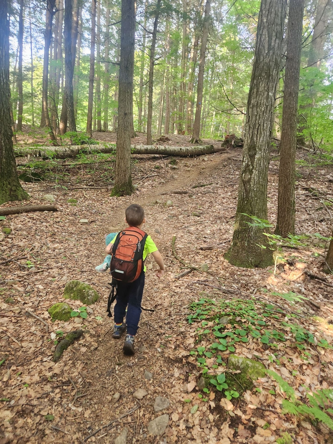 quinn running through the woods