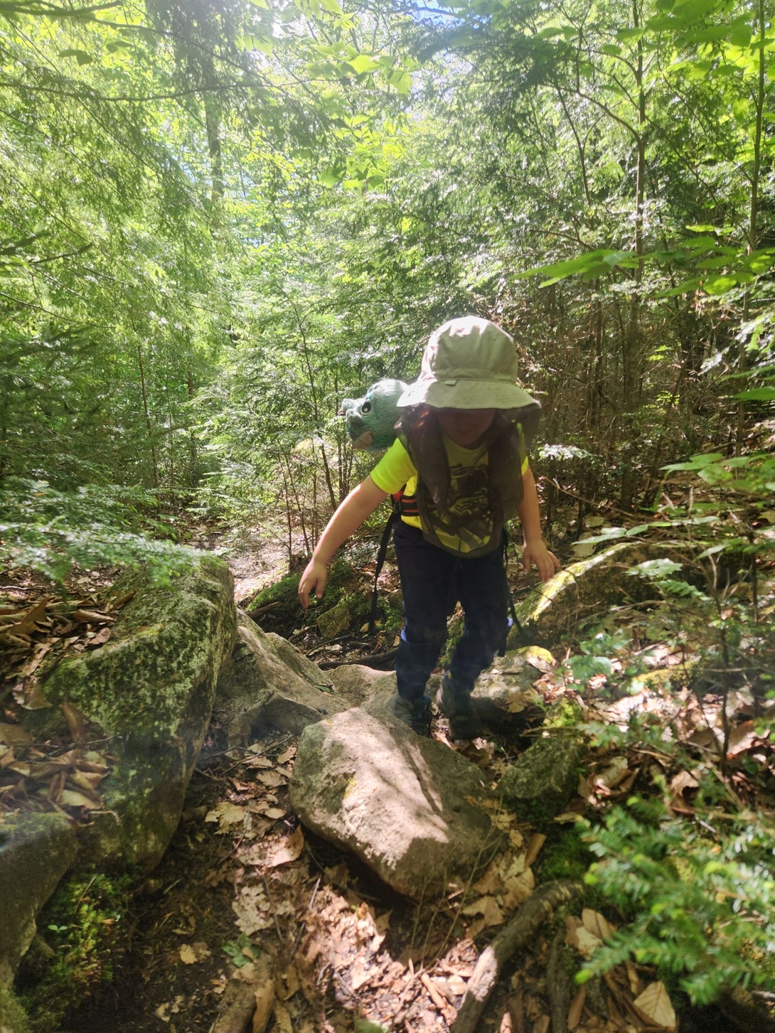 picking through the wilderness