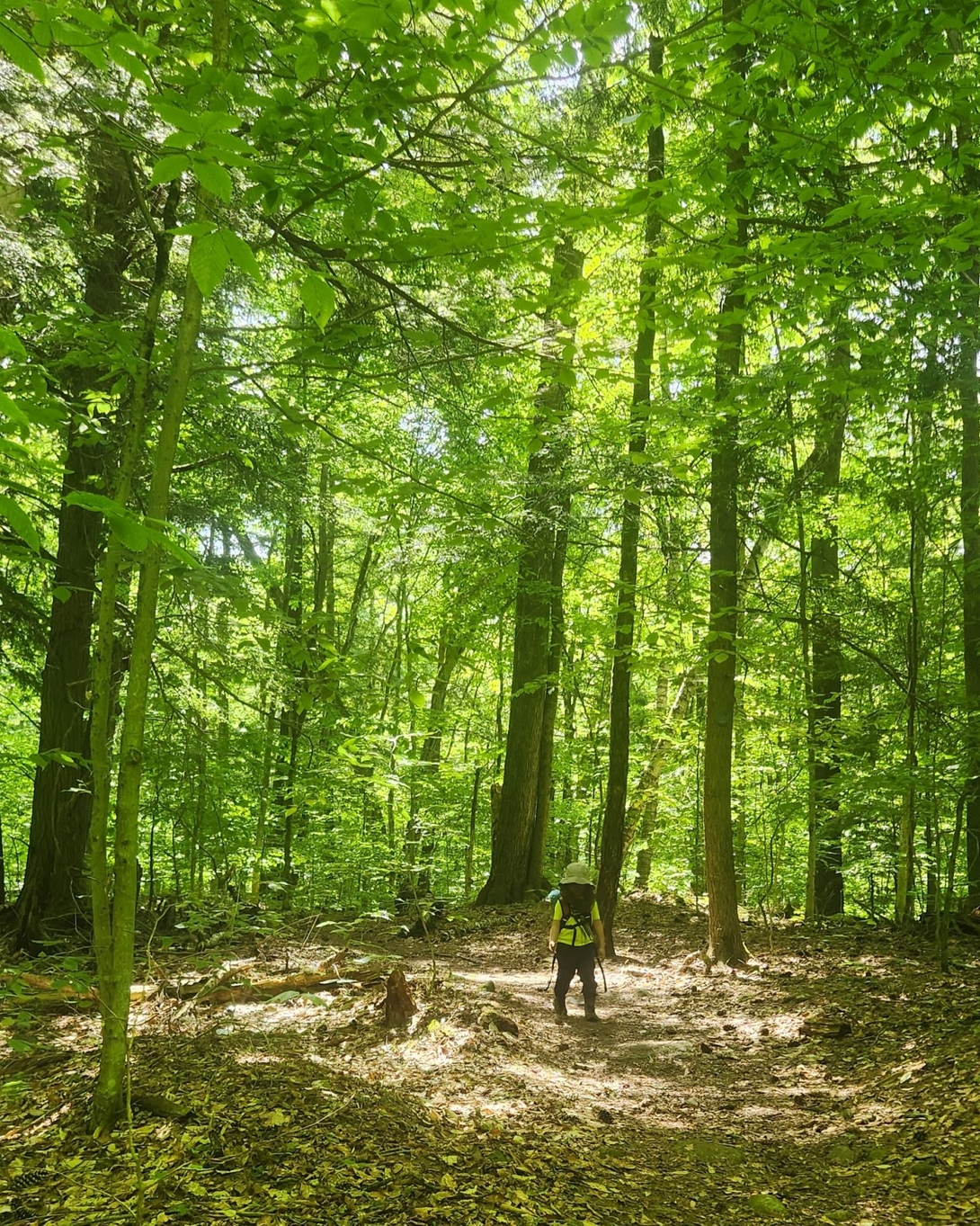 making our way down through the bugs