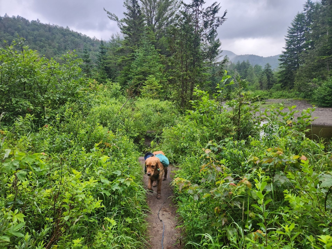 calamity brook trail