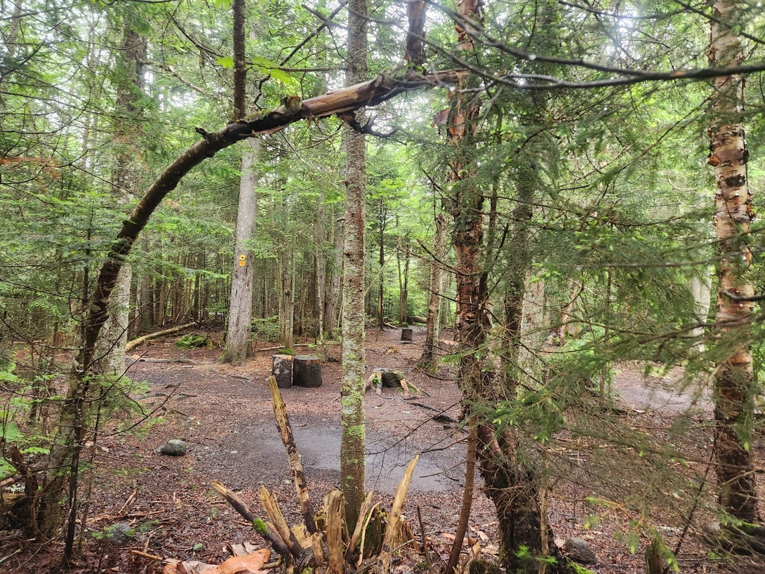 campsite