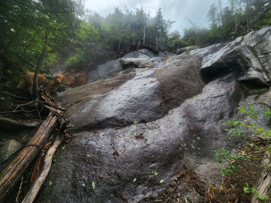steep af