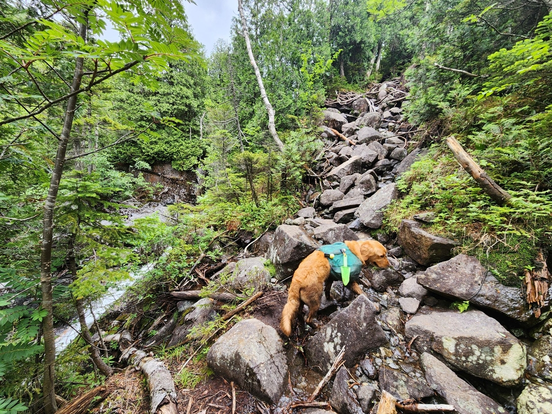 relentless climb up redfield