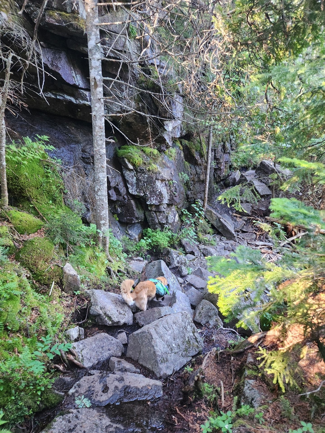 Sunny up the rocks