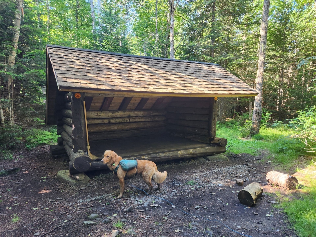 sunny by  leanto
