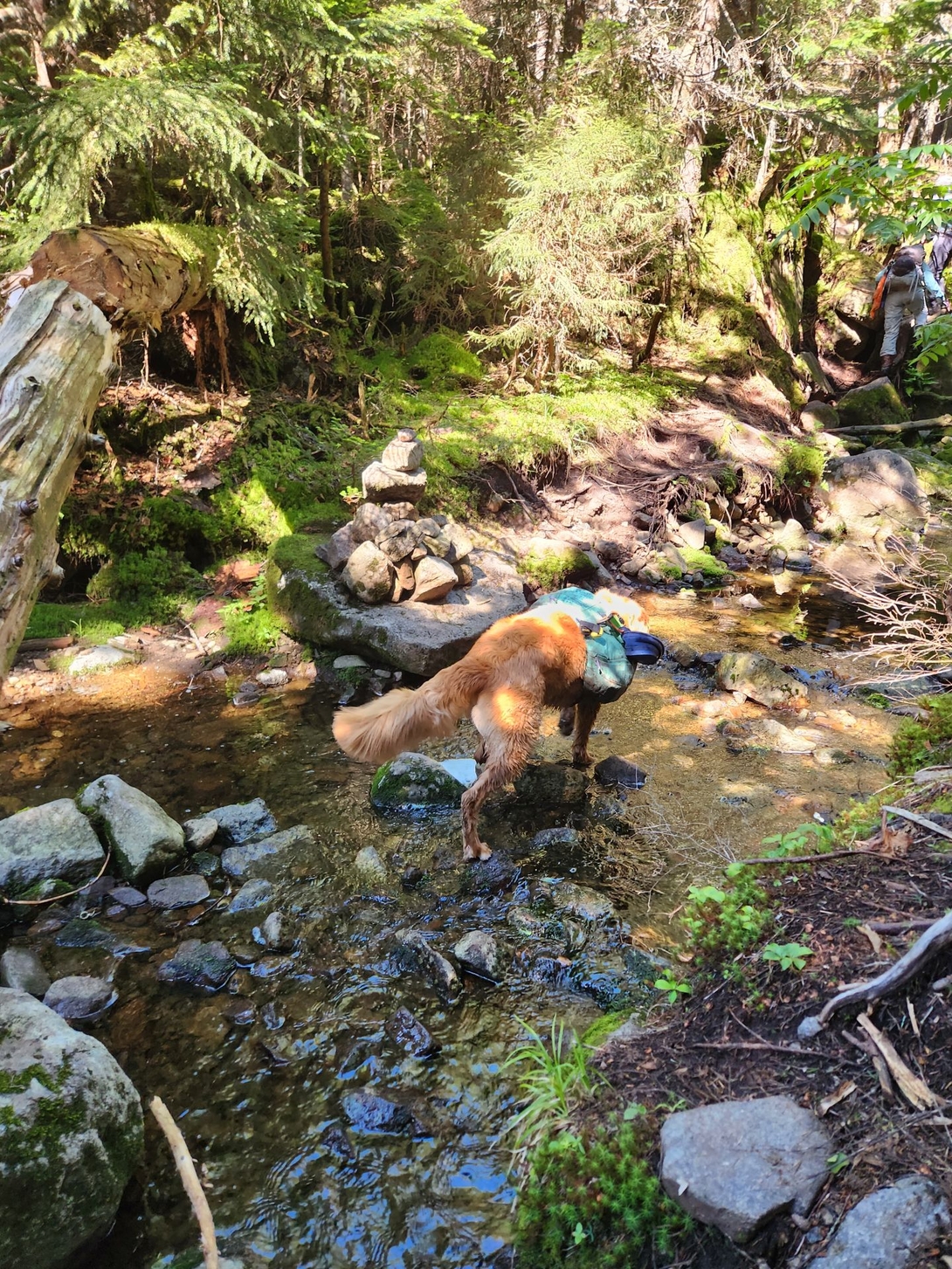 padding through the stream