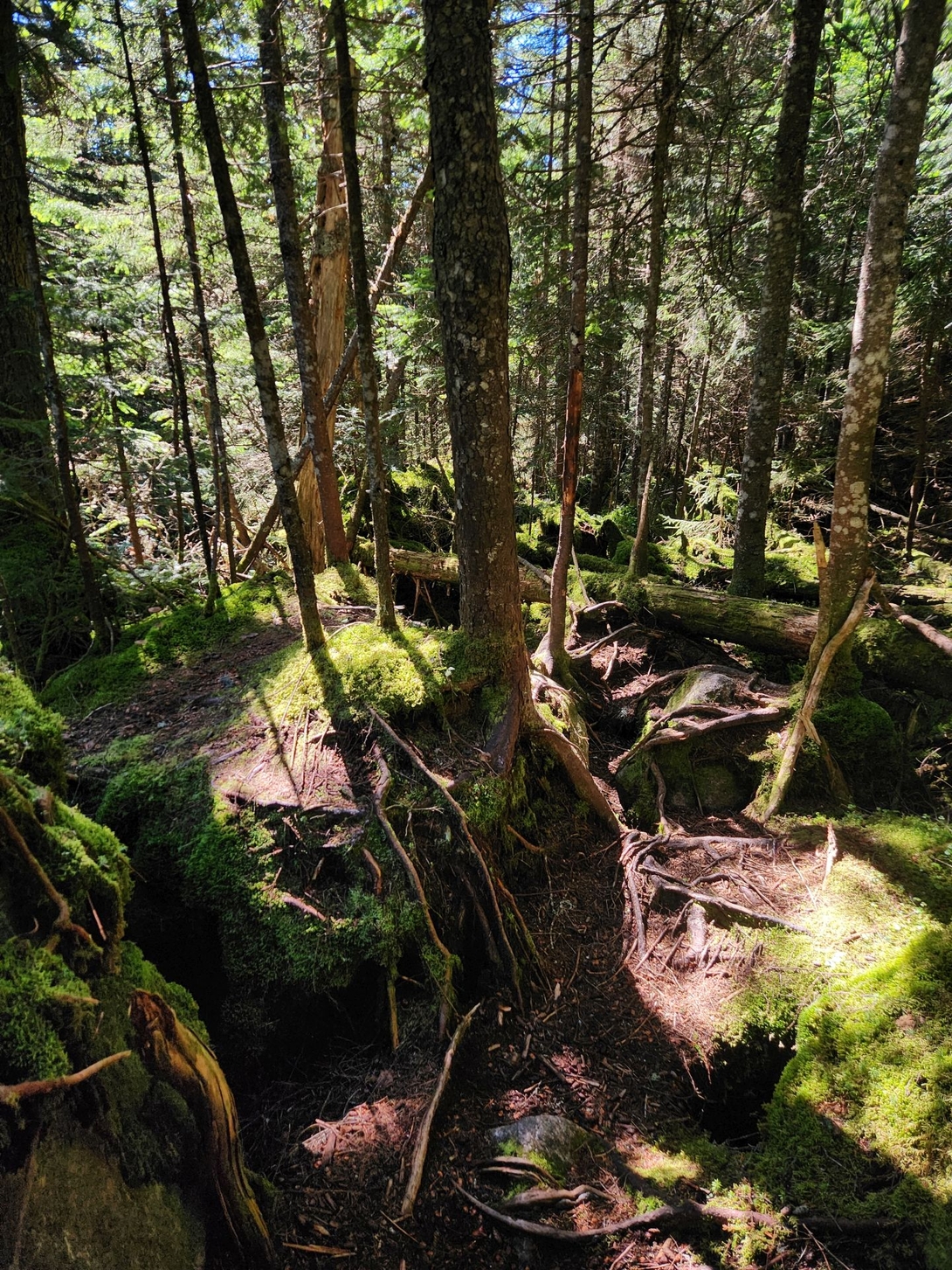 rugged terrain