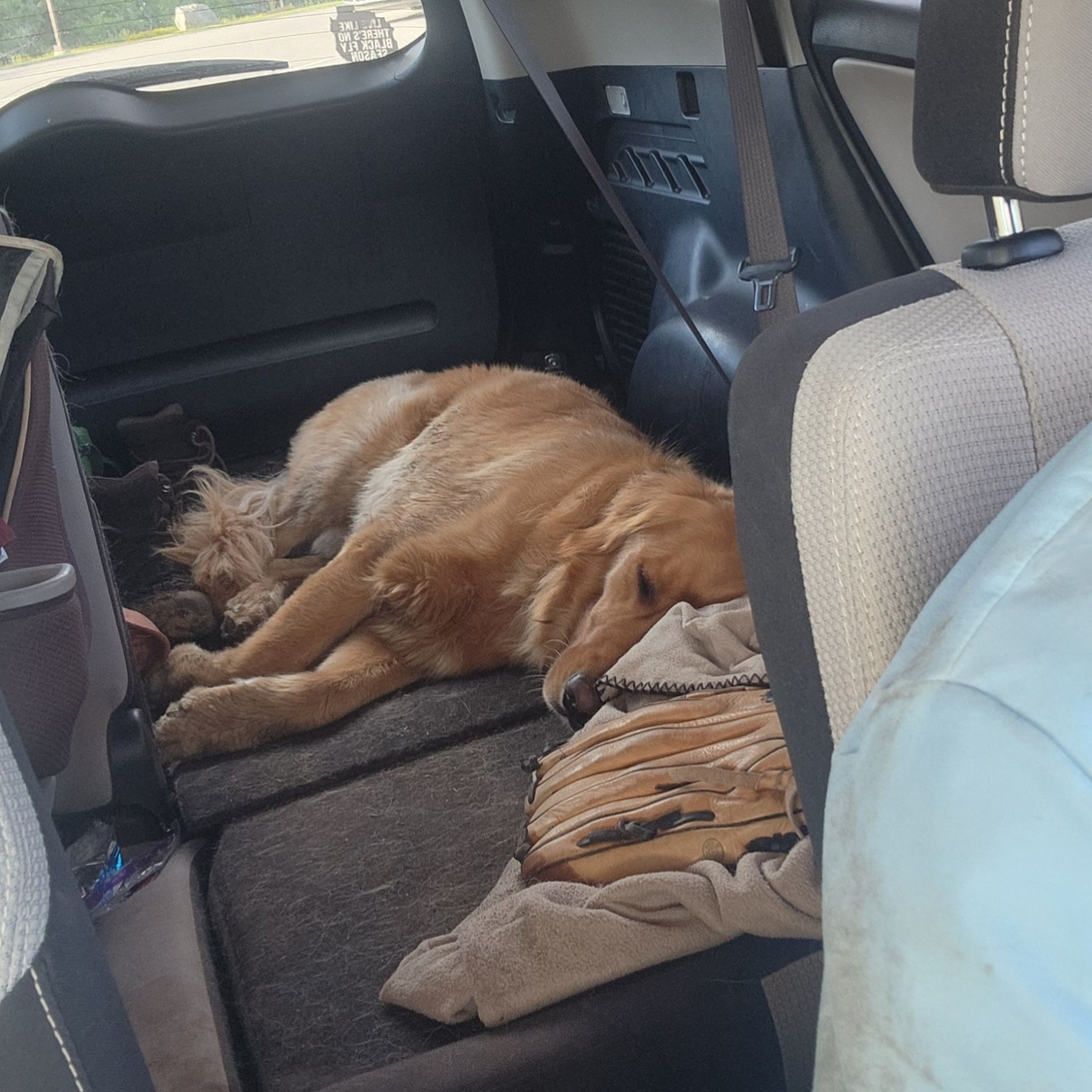 sunny passed out