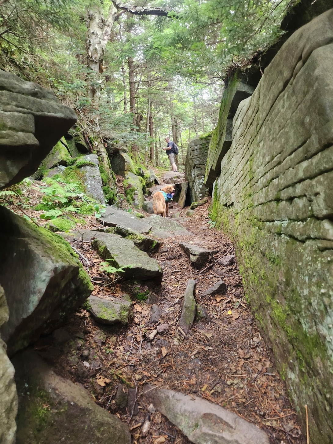 wittenberg rock formations